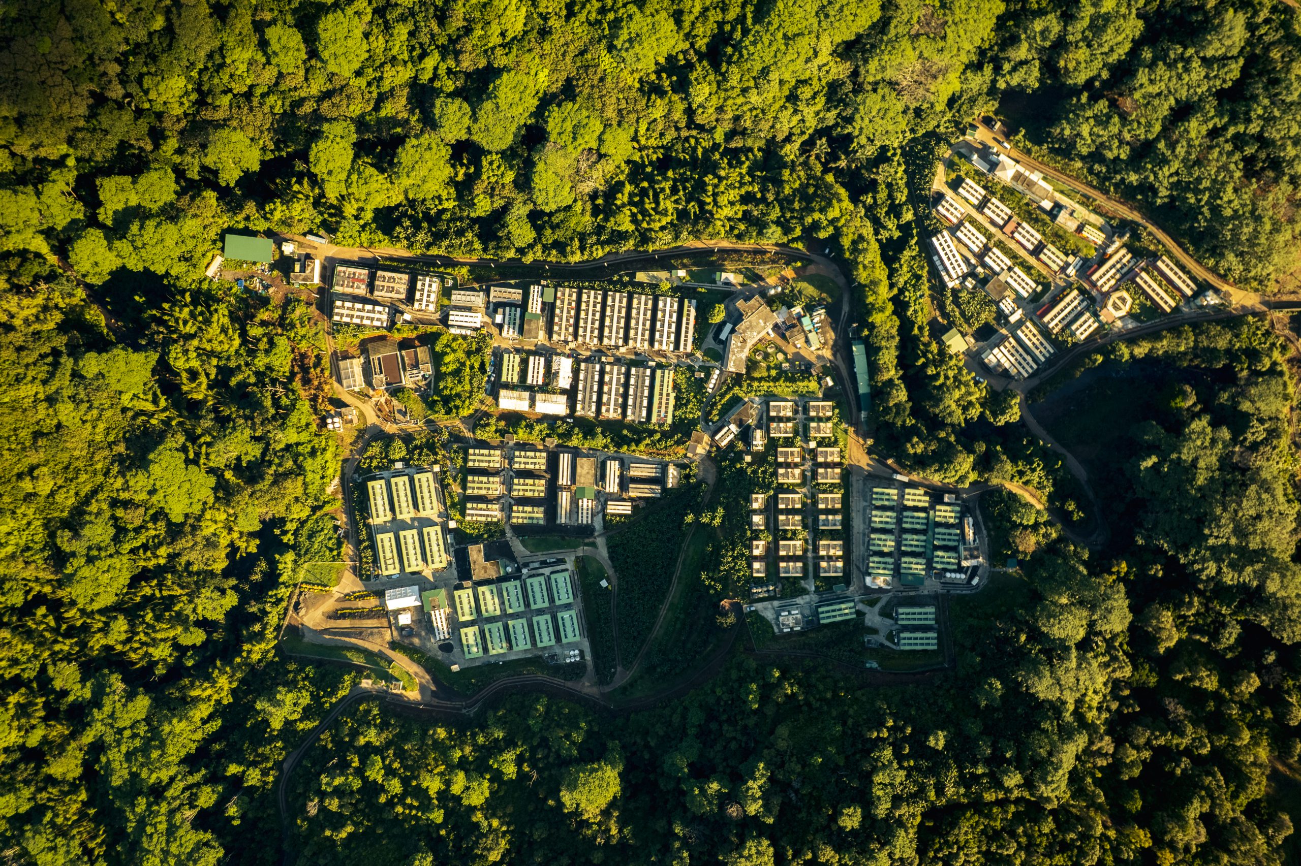 eqdewd